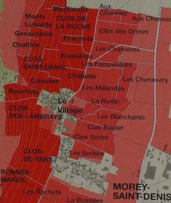 Climat Grand Cru: Clos de la Roche à Morey Saint Denis