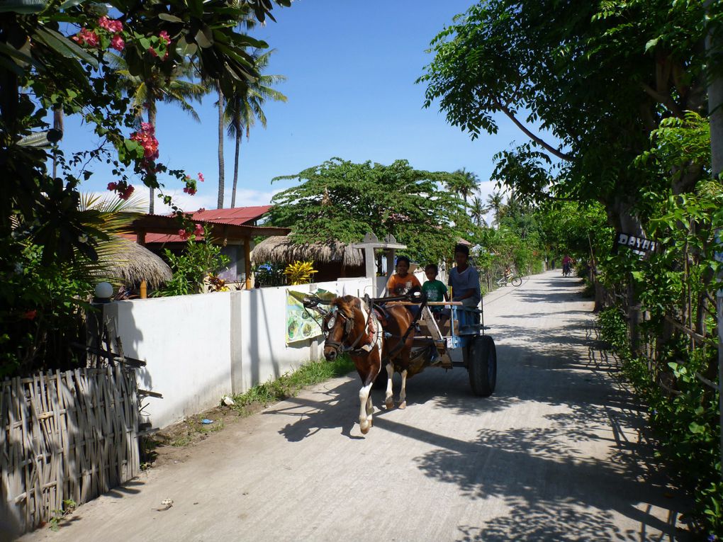 Lombok (Indonésie), décembre 2014