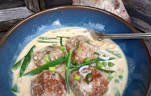 Boulettes de viande de boeuf au curry Thaï