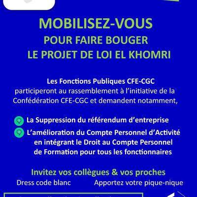 Rassemblement  à Paris le 3 mai avec les Fp CFE CGC