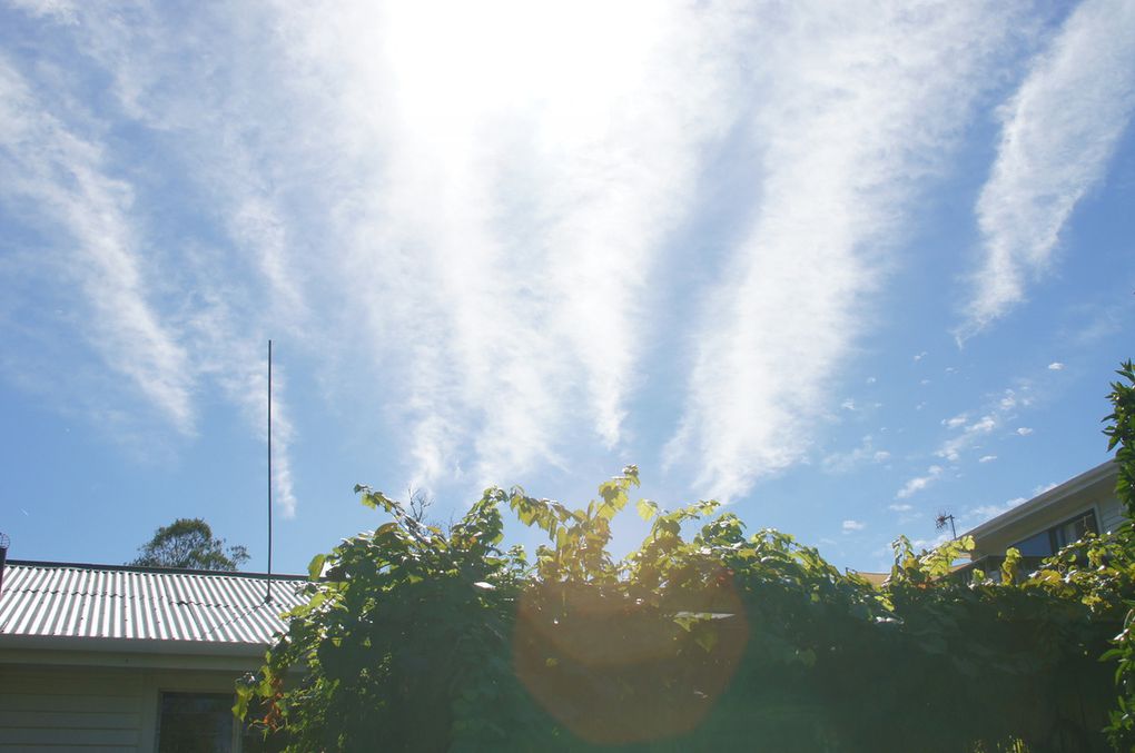 Nouvelle-Zélande : politique de déni du Ministère de l'Environnement sur les opérations d'aérosols atmosphériques en cours