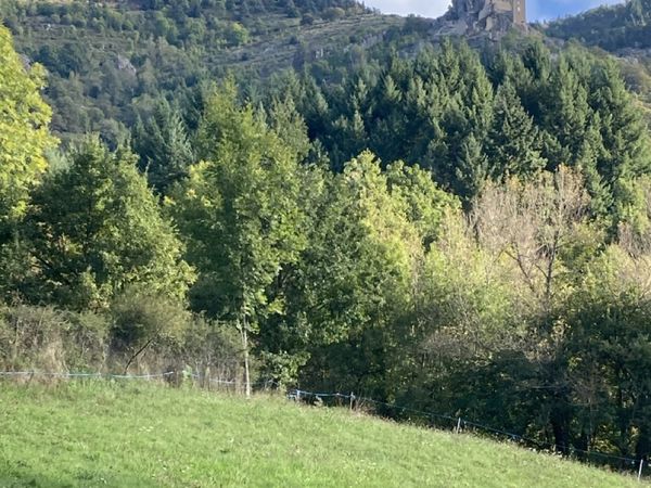 Rando du château de Rochebonne