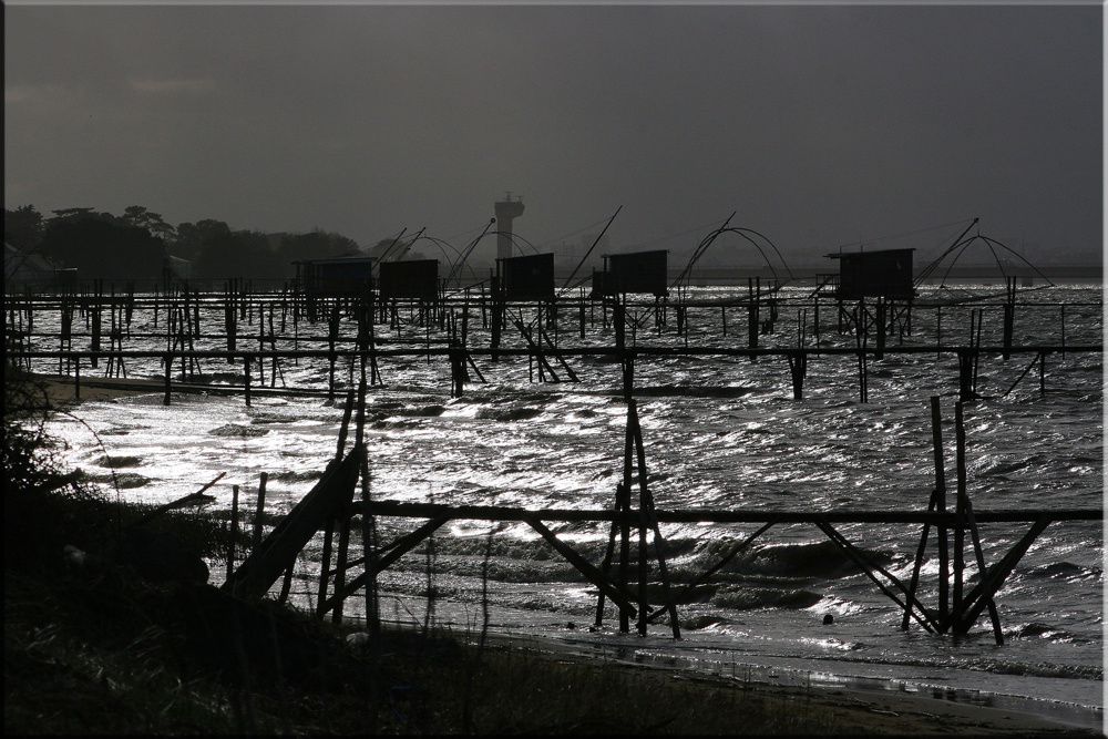 Album - Mindin-Estuaire-de-la-Loire