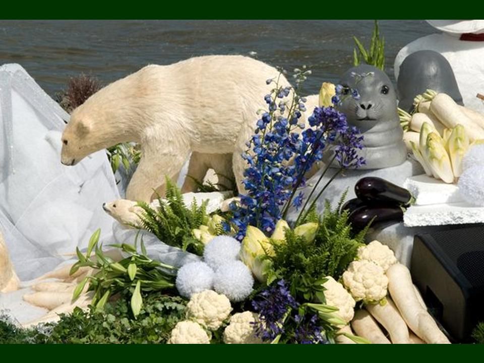 Hollande - seconde partie des marchés flottant