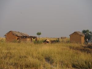 Kolobo