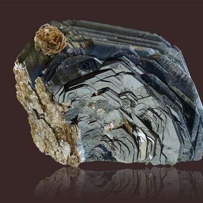 Bertrand Badie "l'impuissance de la puissance"