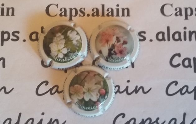 3 BELLES CAPSULES CHAMPAGNE DEGUISE MAURICE NEWS 9€