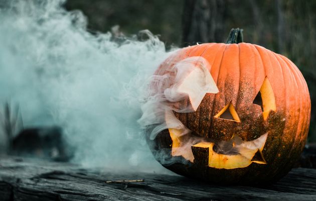 Surconsommation, gâchis et pollution, Halloween est un désastre pour notre planète