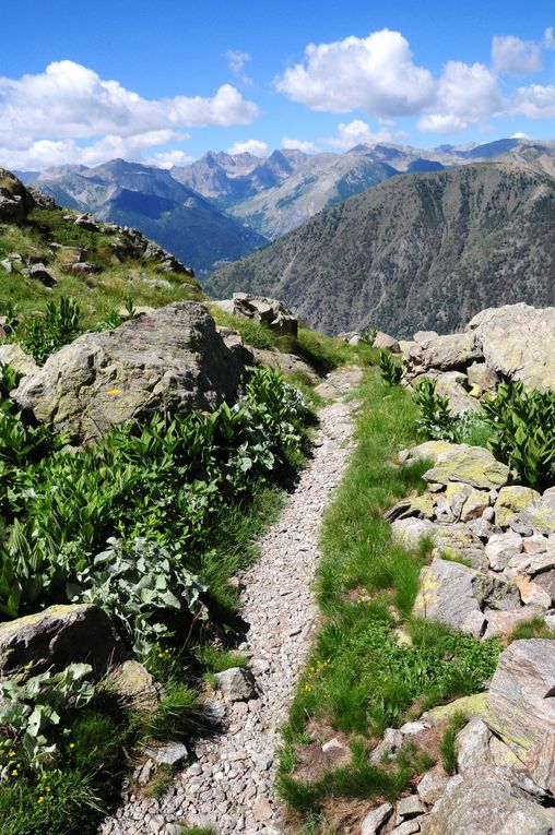 PAYSAGES DES ALPES MARITIMES &amp; DU MERCANTOUR (2)