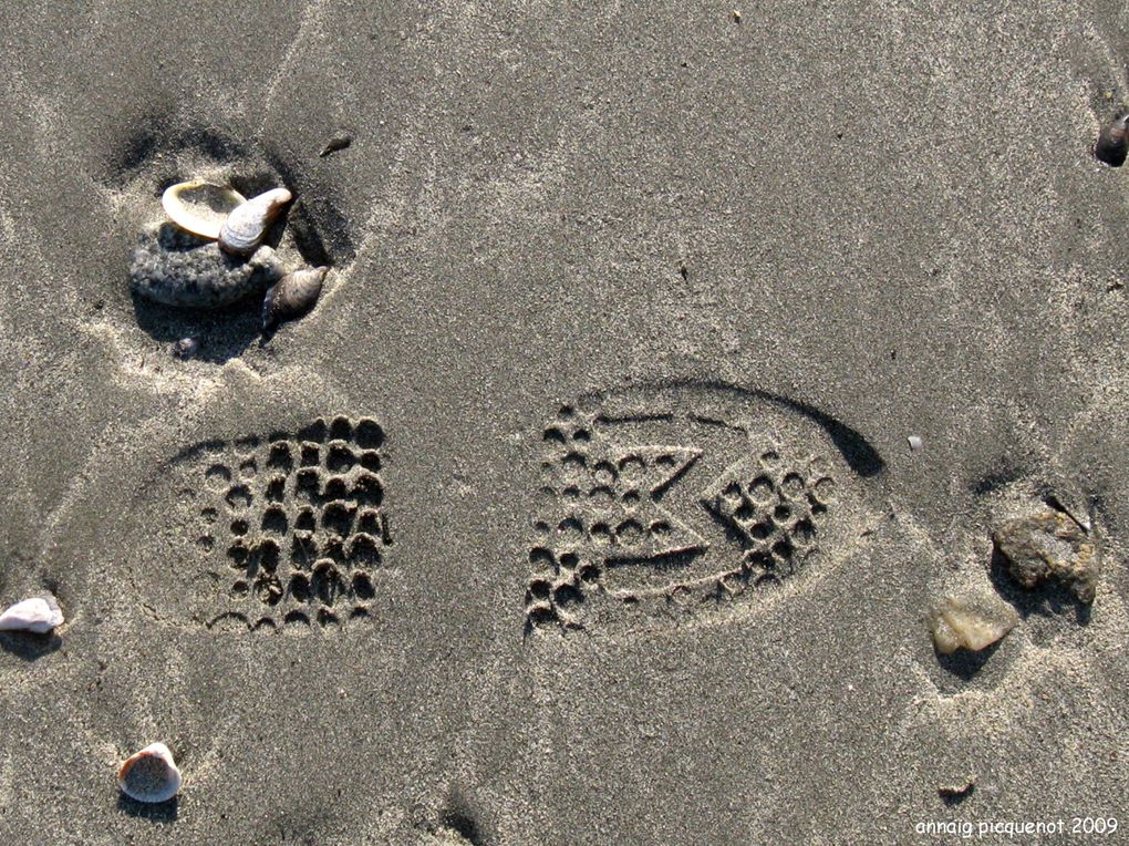 Voici quelques empreintes de chaussures, de pieds, de pattes de chien et autres, prisent dans le sable, mais aussi sur du ciment. Je vais aller, maintenant,à la recherche de traces de goélands, de mouettes et peut être de canards.