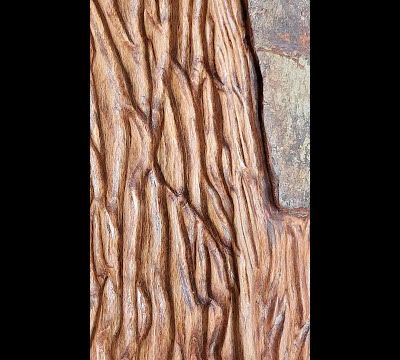 Sculpture Sur Bois Bûche I