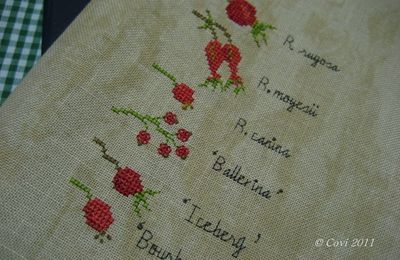 MI DIARIO DE LAS ROSAS