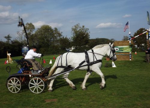 Hazebrouck 2011 :Concours d'attelage.