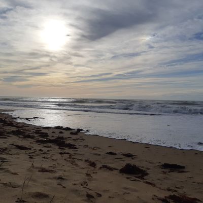 Ouverture du diaphane