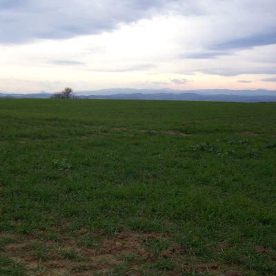 "LA FILLE DE LA PLAINE" (texte de Régis Roux)