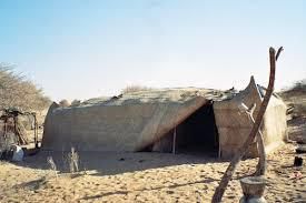 Les femmes Toubous construisant les maisons   à l'arrivée sur le nouveau campement .On voit ainsi sur ces photographies comment elles places les banches (qui feront tenir les maisons) ,comment elles tressent les nappes et enfin la maison une fois qu'elle est fini  . ( source : lefigaro-fr ) ,(ventdusud.org) . 