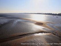 Estuaire de la Loire - Pont de Saint-Nazaire