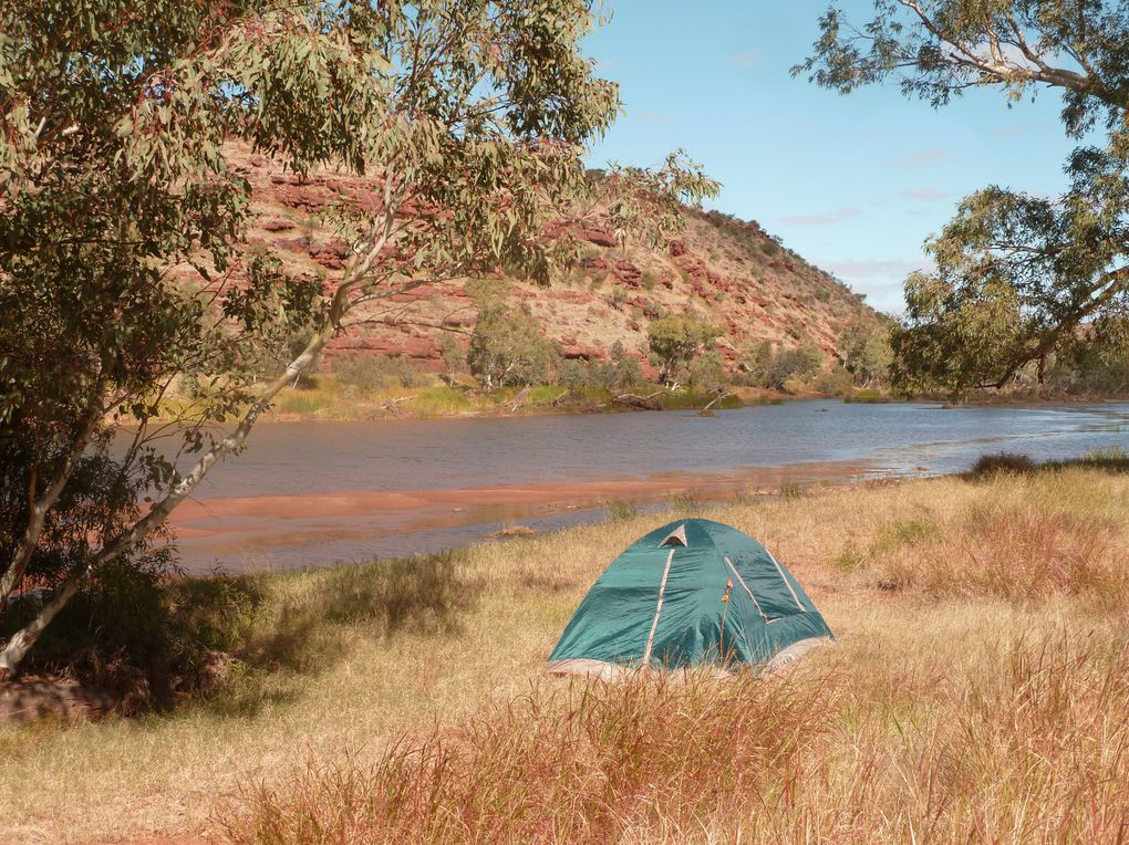 Album - 39 Outbacktrip von Prot-Augsta nach Alice Springs - Teil 2