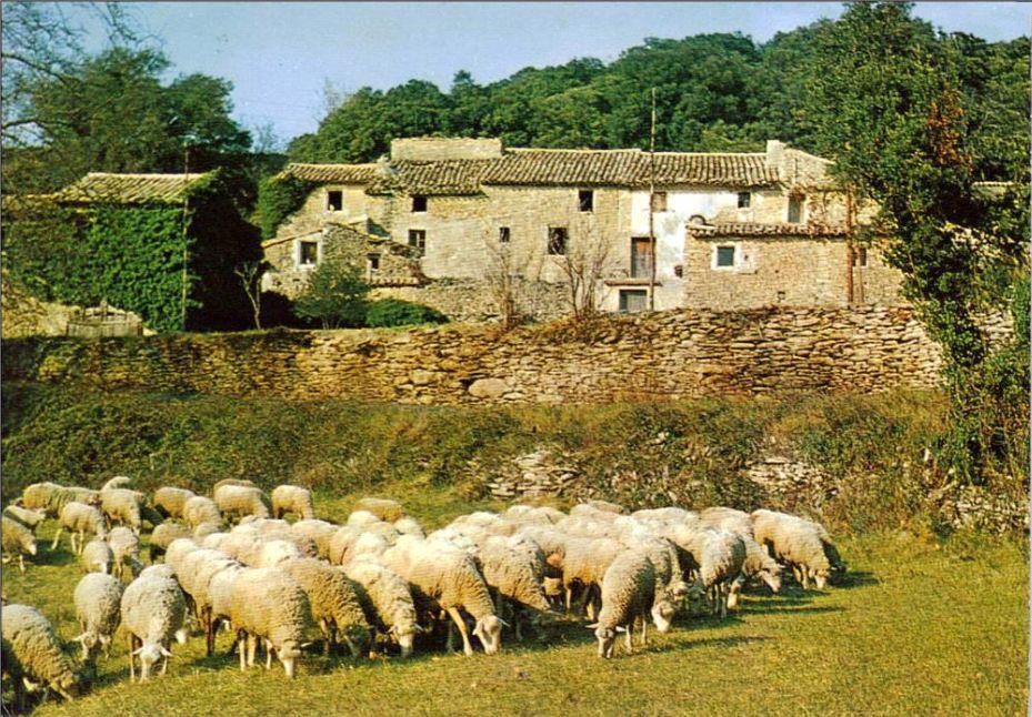 Des cartes postales de paysages de Provence que j'ai scannées pour vous.