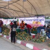 Le prix des fruits - Fruits de saison (18-12) - Noy et Gilbert en Thaïlande