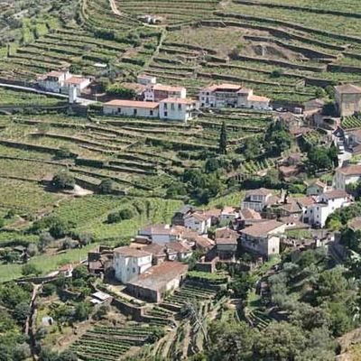 La vallée du Douro : le pays du Porto 