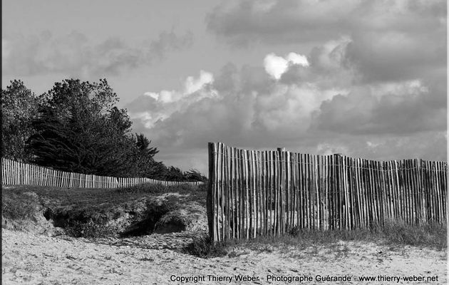 Dunes et Plages