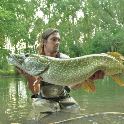 Le 1er Mai c'est l' Ouverture du Brochet 