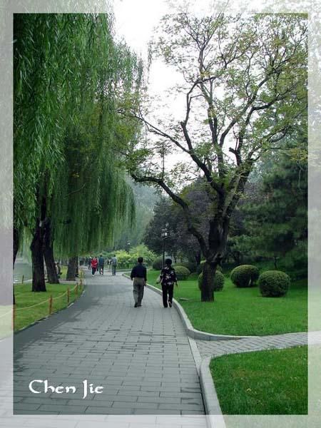 Voici quelques photos de la Faune et de la Flore chinoise.<br />En de nombreux points, vous les verrez semblables aux nôtres, mais en d'autres... <br />Je vous laisse profiter de cette escapade naturelle dans une Nature riche et prolifique, malheure