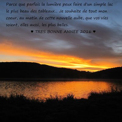 Bonne et Heureuse Année 2016