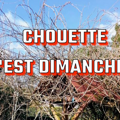 Chouette c'est dimanche 