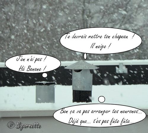 Le Bigorneau Bigornette