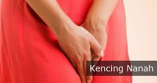 10 RESIKO KENCING SAKIT KELUAR NANAH PADA WANITA DAN PASANGNNY