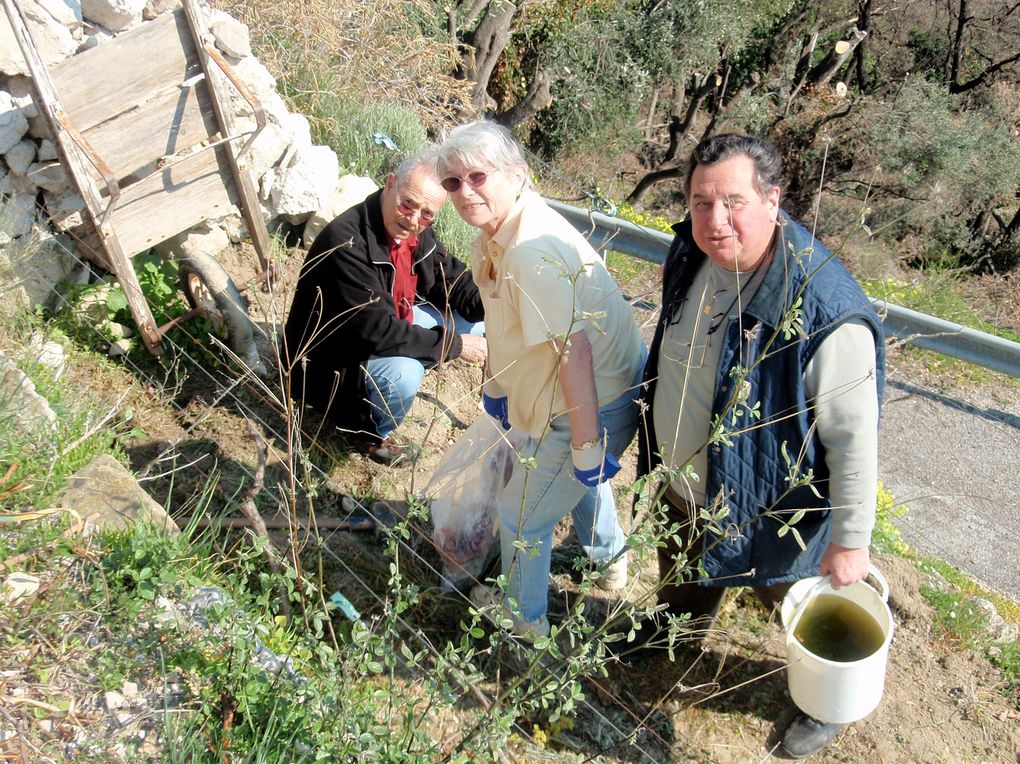 Au premier jour du printemps 2009 les Mousquetaires de l'Annonciade ont planté les nouveaux ceps de vigne