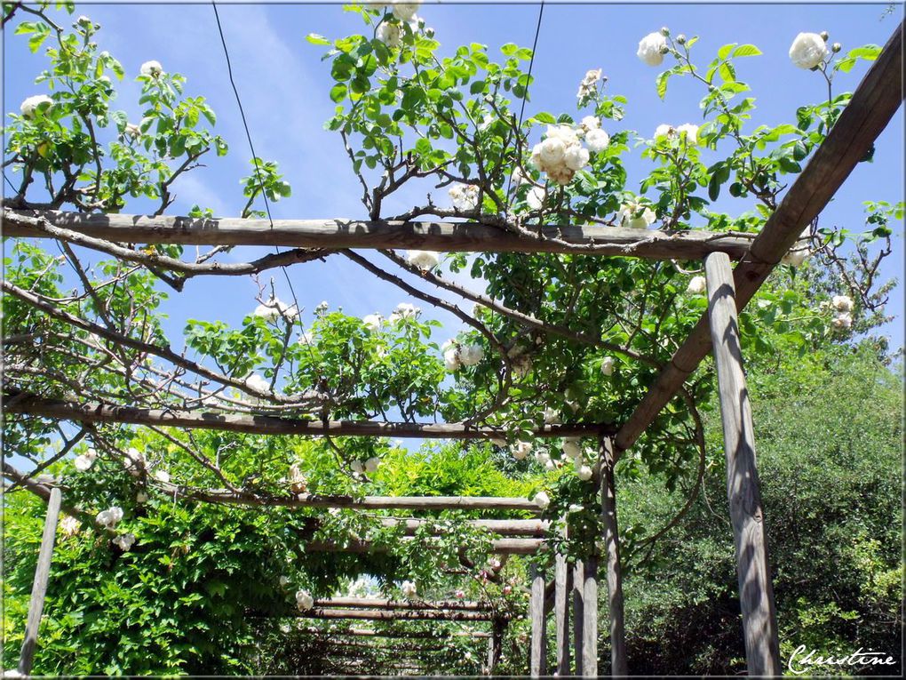 Album - LE-JARDIN-DE-LA-TOUR-DE-RATIERES