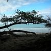 Album - le-parc-national-de-Cahuita-et-ses-plages