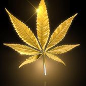 Acheter Cannabis-Cbd-Chanvre