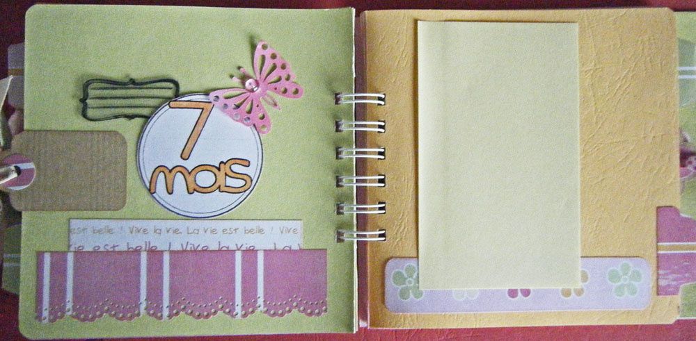 Album - mini-albums