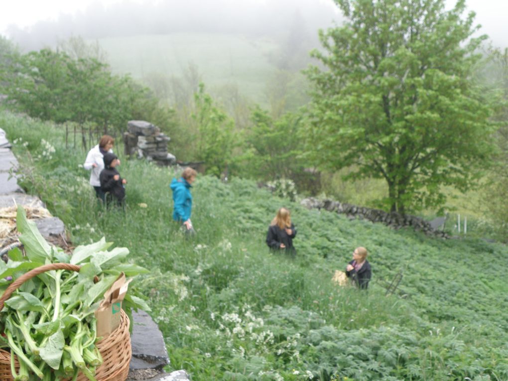 Journée &quot;cueillette et cuisine&quot; du 3 juin 2016