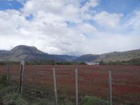 En route sur la &quot;carretera austral&quot;