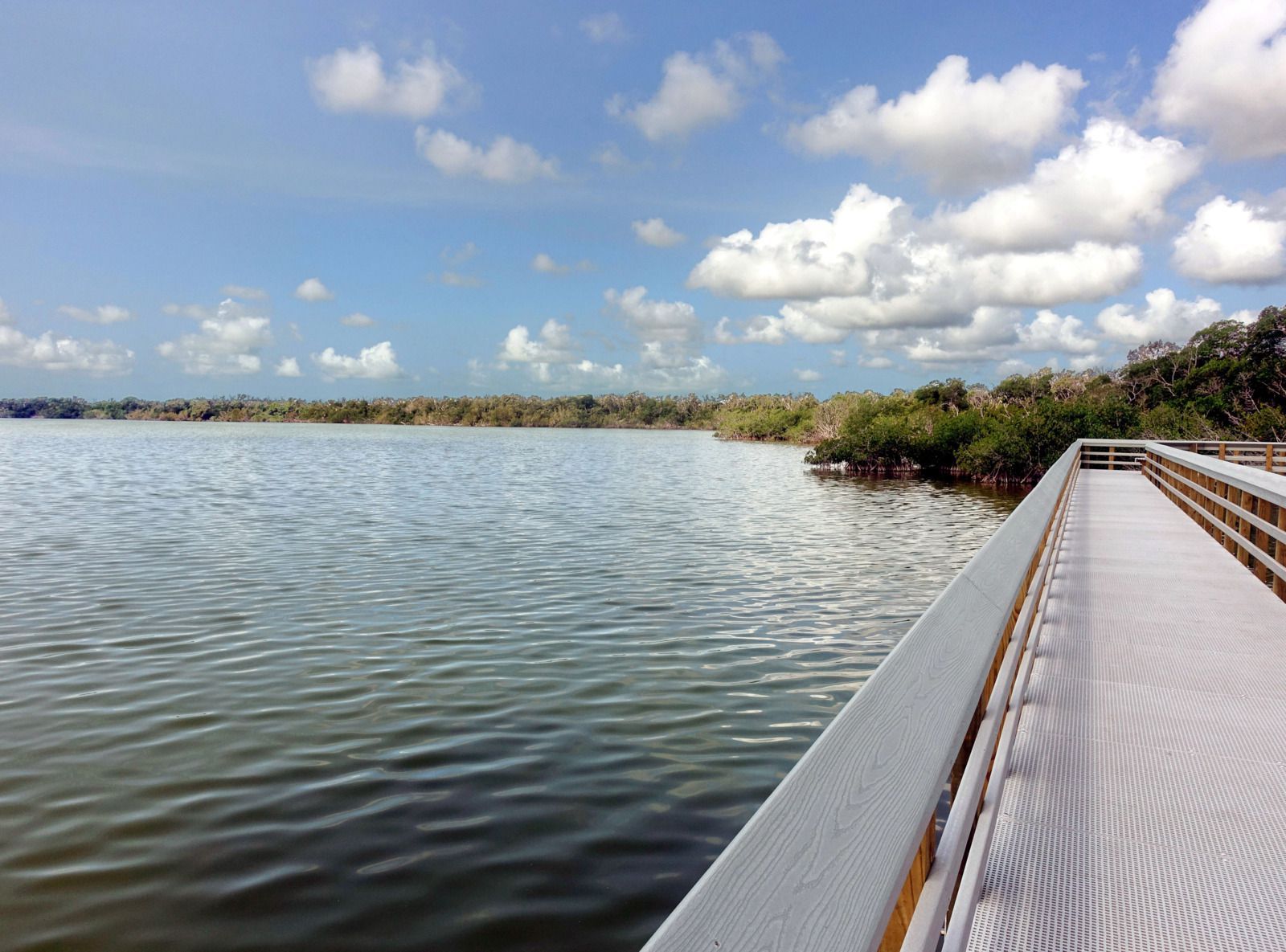 Everglades West Lake