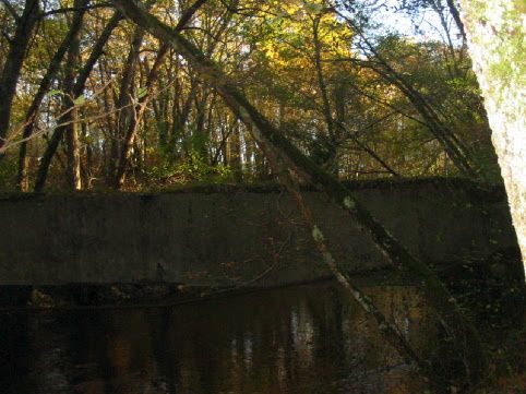 Promenade le long de la Jalle entre Caupian et Moulin Bonneau