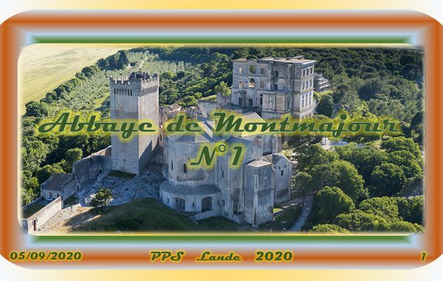 Abbaye de Montmajour N°1 par Lande.
