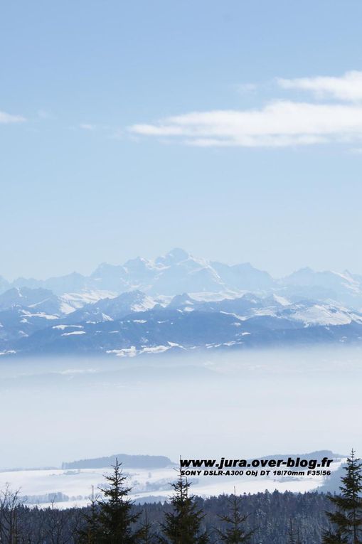 Les photos ce cet hiver 2009, prisent avec un SONY DSLR-A300 Objectif DT 18-70mm F35-56. ballade à travers le Haut Jura avec l'or blanc tant attendu ! Cette année 2009 reste exeptionelle !