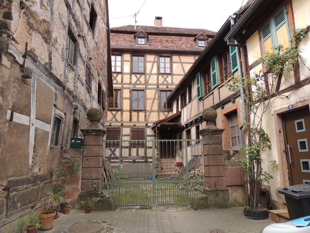 Album - Villages-d-Alsace: Bouxwiller