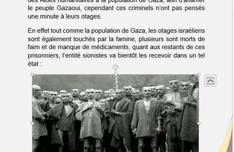 Guerre et Génocide contre Gaza