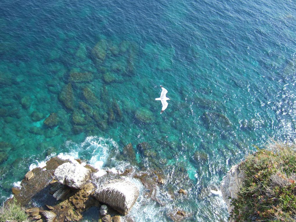 Des coins de la corse du sud