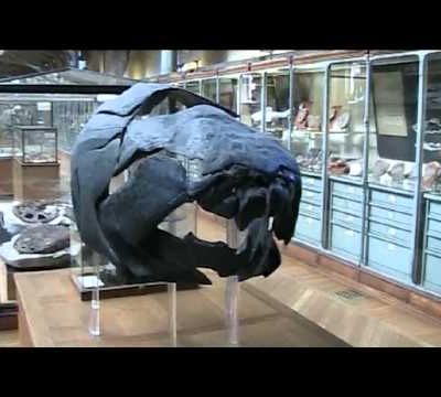 Galerie de paléontologie et anatomie comparée, Jardin des plantes, Paris
