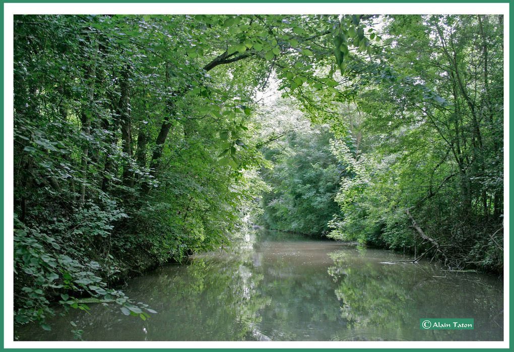 Album - le-marais-Poidevin