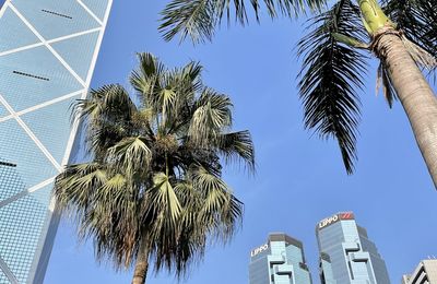 Hong Kong Park