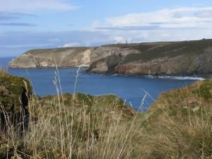 le cap frèhel, son cap, son phare, ses bruyéres, ses ballades, ses grandes falaises et ses grandes plages de sables fin , enfin quoi la vie douce en Bretagne